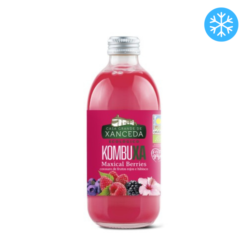 Kombucha de frutos rojos 250ml