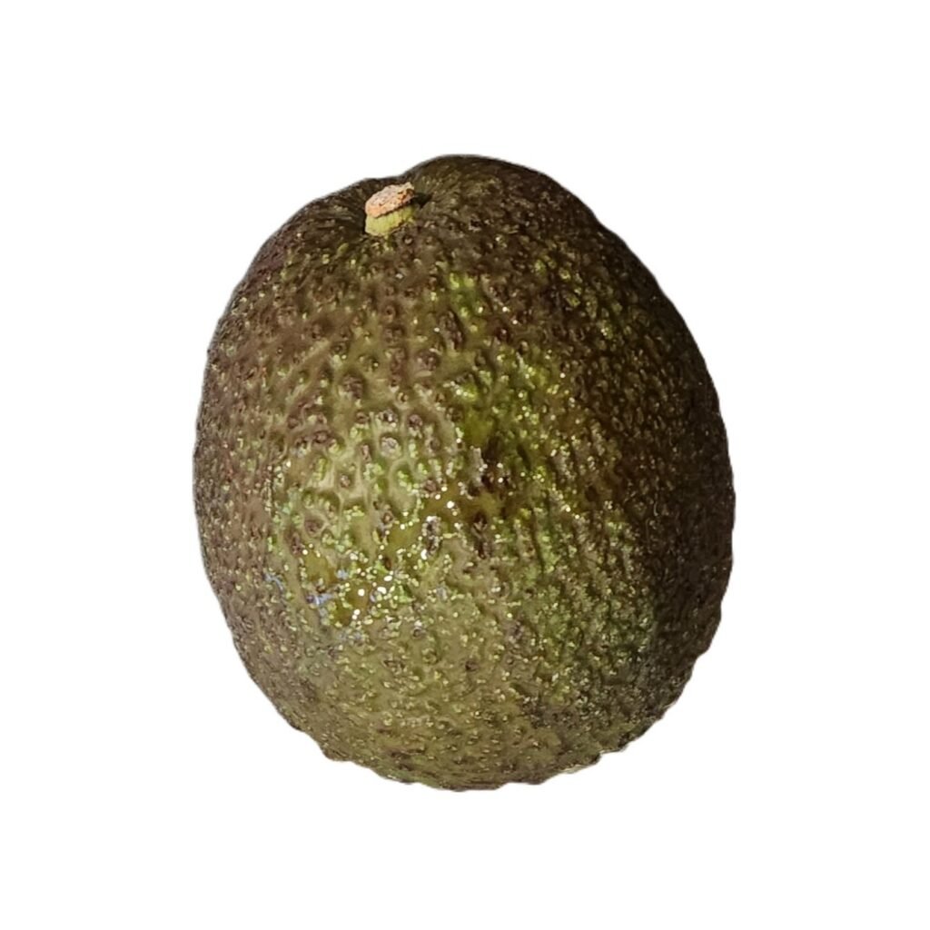 Aguacate